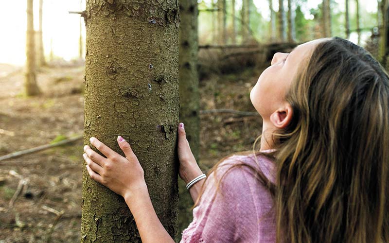 Fibra di legno per vivere sano - Mission